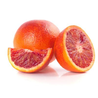 Sanguinelli Blood SemiDwarf Orange Tree