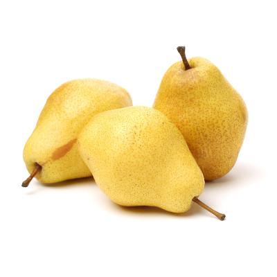 http://www.fourwindsgrowers.com/cdn/shop/files/bartlett-pear-tree-jpg_1024x1024.jpg?v=1697647224