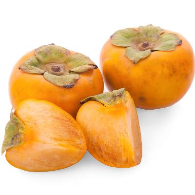 Coffee Cake (Nishimura wase) Persimmon Tree