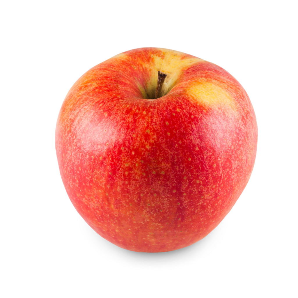 Honeycrisp Apple Tree – The Tree Folks