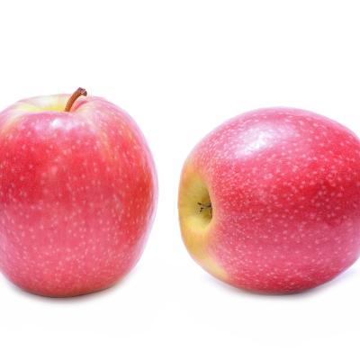 Pink Lady Apple