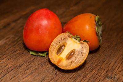 Chocolate Persimmon Tree