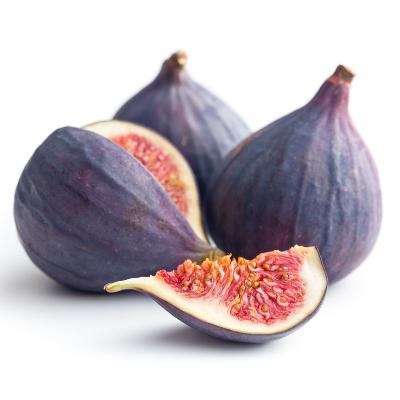 Black Mission Fig Tree