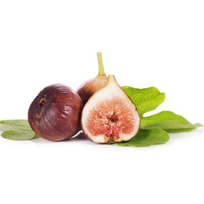 Brown Turkey Fig Tree for sale