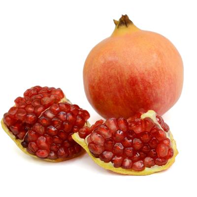 Desertnyi Pomegranate Tree