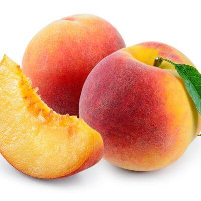 Elberta Peach Tree- Potted