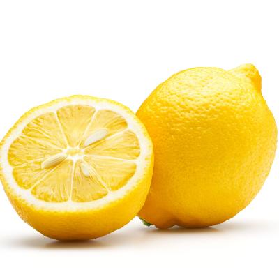 Eureka Semi-Dwarf Lemon Tree