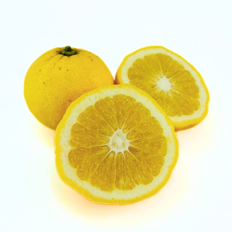 小物 Lemon khssjjgV3vy9HwbWG9UgbvhfVDn_Fp