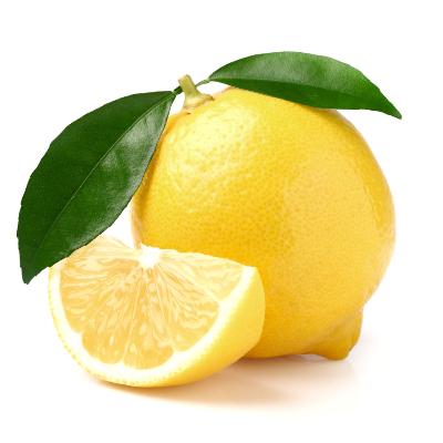 Pomona Sweet Semi-Dwarf Lemon Tree- Grow Sweet Lemons!