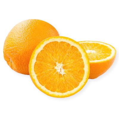 Robertson Navel Orange Tree- Classic Orange Flavor