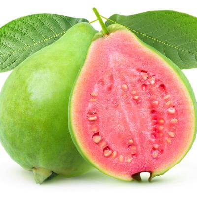 Guava Stack Guava Tree With Fruit