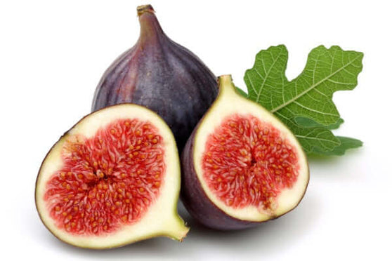 Black Jack Fig Tree for Sale