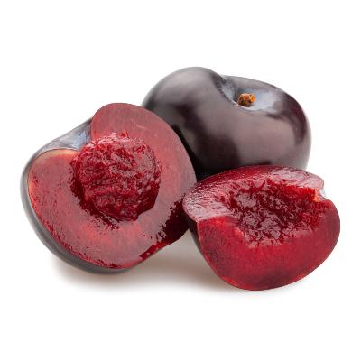 burgundy-plum-fruit-tree-1_grande.jpg