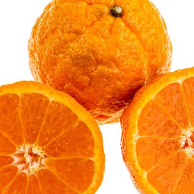 gold nugget mandarins