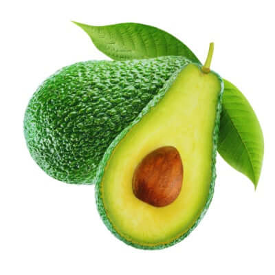 Jan Boyce Avocado Tree