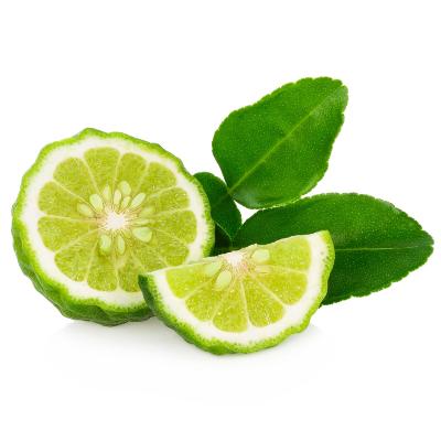 makrut thai lime tree for sale