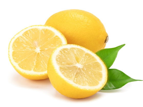 Improved Meyer Semi-Dwarf Lemon Tree