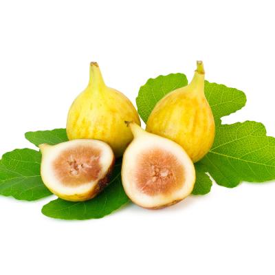Peter S Honey Fig Tree