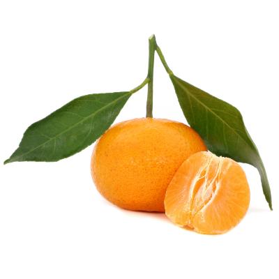Pixie Semi-Dwarf Mandarin Tree