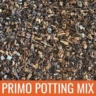 citrus and fruit potting mix Primo Citrus & Fruit Tree Potting Mix Kit