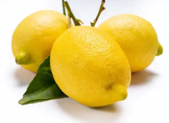 Santa Teresa Femminello Semi-Dwarf Lemon Tree - Buy Online