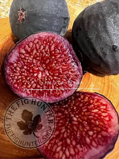 Shasta cranberry fig cut open showing vibrant red interior and velvety skin, showcasing its unique tart flavor.