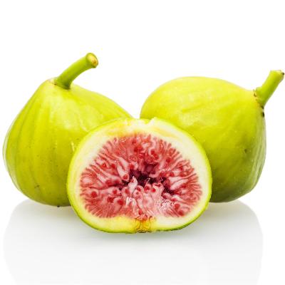 White Genoa Fig Tree