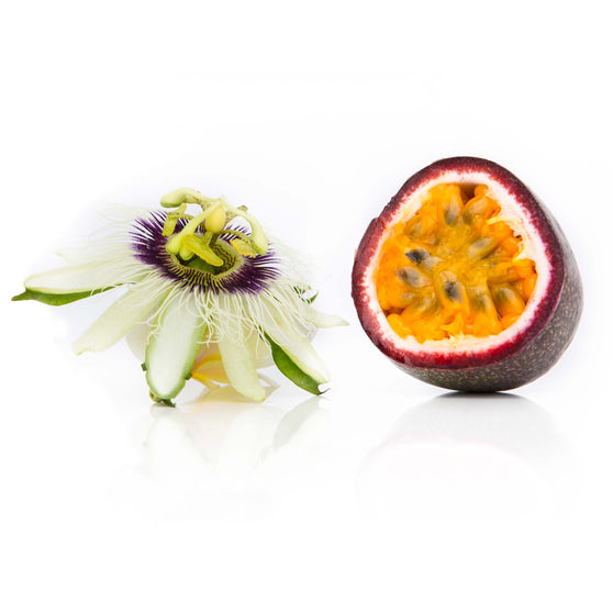 Frederick' Passion fruit/ Passion Vine