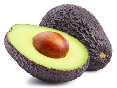 Gem Avocado Tree