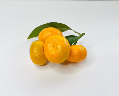 Kishu-Mandarin tree for sale