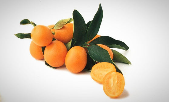 meiwa kumquats