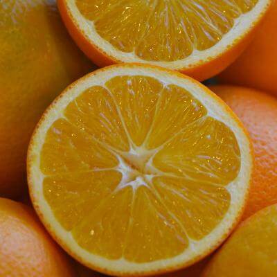 Trovita Sweet Orange Semi-Dwarf Tree