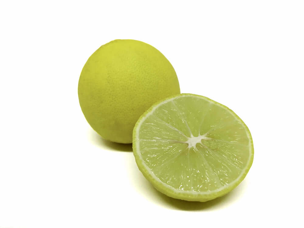 Lime Size Key Lime Tree Blader