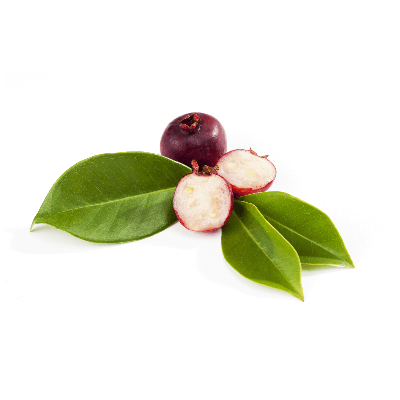 Fresh Strawberry Guava fruit with green leaves, showcasing the juicy sweet/tart pulp and vibrant crimson skin.