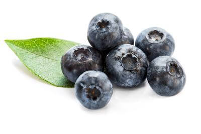 O'NEAL BLUEBERRIES