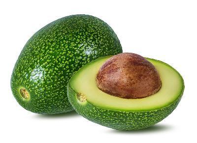 Little Cado Avocado Tree